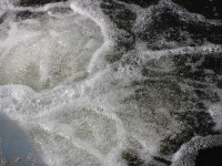 /album/river-rajcianka/nm-jpg1/