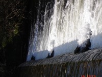 /album/river-rajcianka/rad-jpg1/