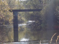 /album/river-rajcianka/ttttttttttt-jpg1/