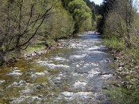 /album/river-studeny-potok/kkk8-jpg1/