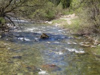 /album/river-studeny-potok/kkk9-jpg1/