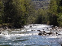 /album/river-studeny-potok/kkk15-jpg1/