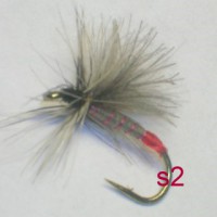 /album/dry-s-/a2-jpg9/