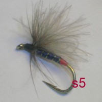 /album/dry-s-/a5-jpg10/