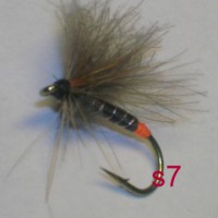 /album/dry-s-/a7-jpg10/