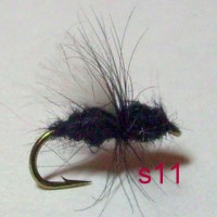 /album/dry-s-/s11-jpg1/