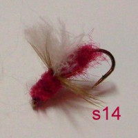 /album/dry-s-/s14-jpg1/