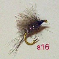 /album/dry-s-/s16-jpg1/