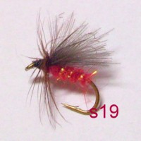 /album/dry-s-/s19-jpg1/