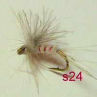 /album/dry-s-/s24-jpg1/