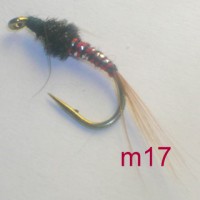 /album/wet-m-/a17-jpg8/