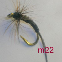 /album/wet-m-/a22-jpg4/
