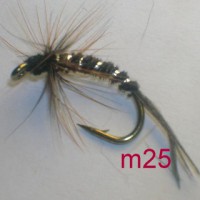 /album/wet-m-/a25-jpg3/