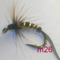 /album/wet-m-/a26-jpg3/