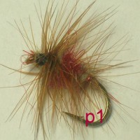 /album/palmer-p-1/a1-jpg18/