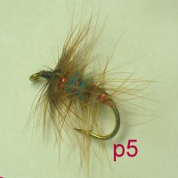 /album/palmer-p-1/a5-jpg17/