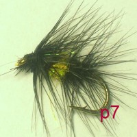 /album/palmer-p-1/a7-jpg17/