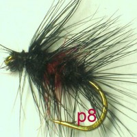 /album/palmer-p-1/a8-jpg17/