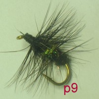 /album/palmer-p-1/a9-jpg17/