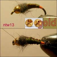 /album/woven-nymph-tungsten-head-ntw-1/a13-jpg15/